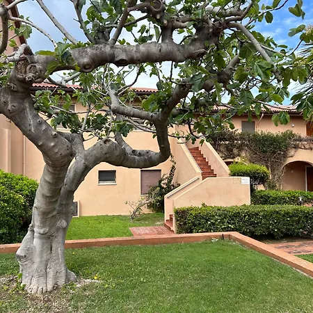 Bio 4 Pax - Sea View With Terrace And Pool Apartamento